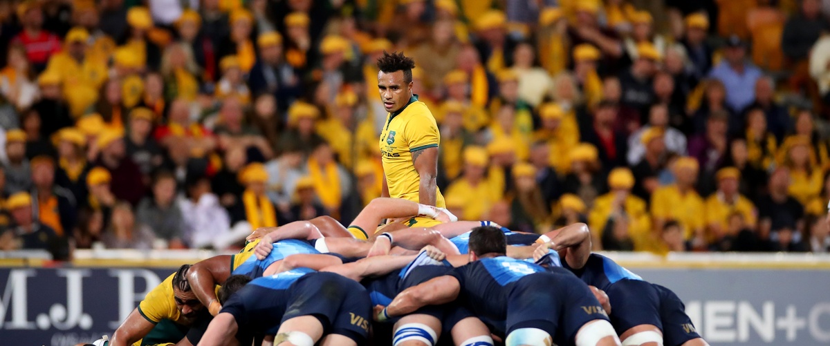 Wallabies bounce back against Argentina in Brisbane