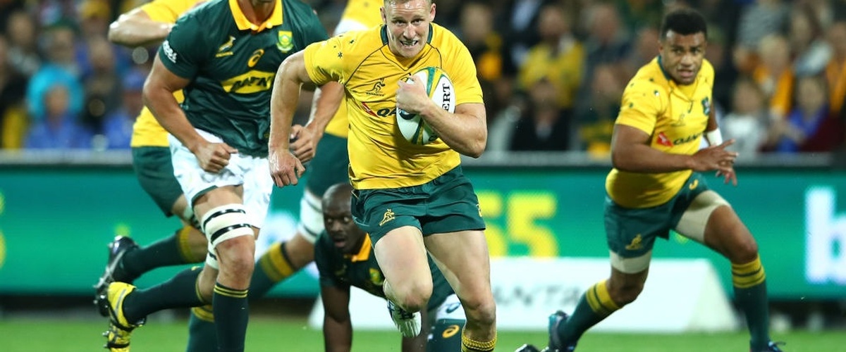 Wallabies and Springboks Share The Spoils